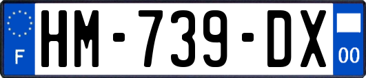 HM-739-DX