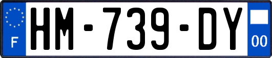 HM-739-DY