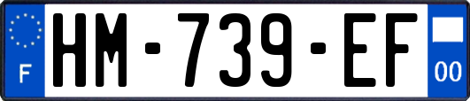 HM-739-EF