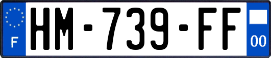 HM-739-FF