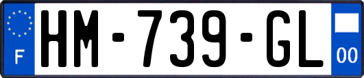 HM-739-GL