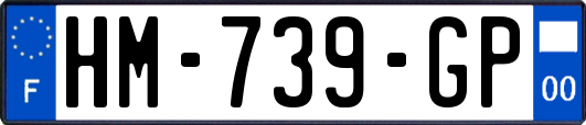 HM-739-GP