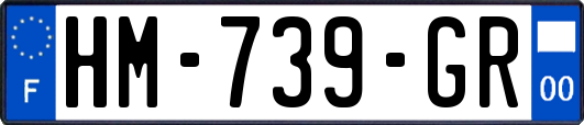 HM-739-GR