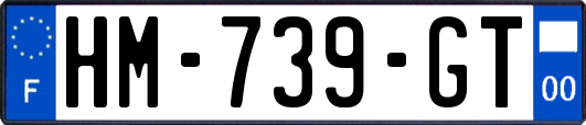 HM-739-GT