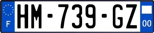 HM-739-GZ