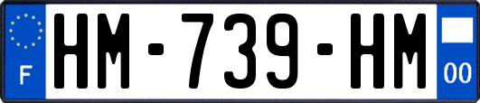 HM-739-HM