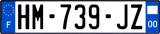 HM-739-JZ