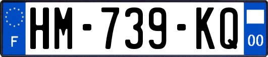 HM-739-KQ
