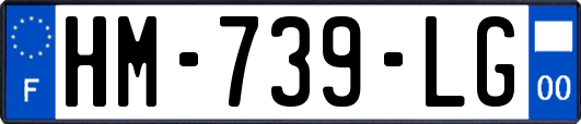 HM-739-LG