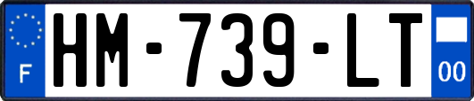 HM-739-LT