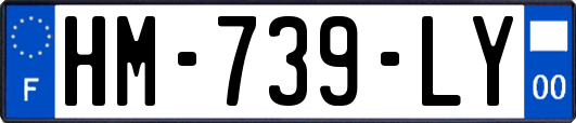 HM-739-LY