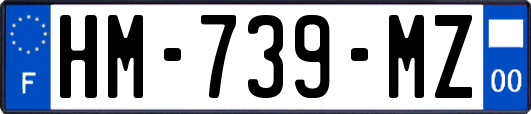 HM-739-MZ