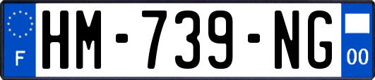 HM-739-NG