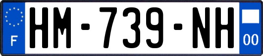 HM-739-NH