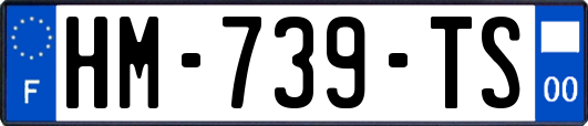 HM-739-TS