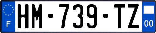 HM-739-TZ