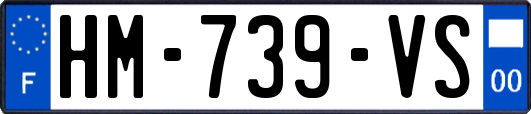 HM-739-VS