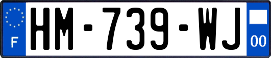 HM-739-WJ