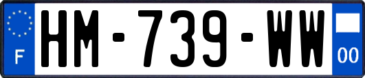 HM-739-WW