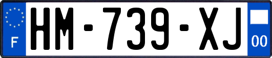 HM-739-XJ