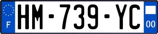 HM-739-YC