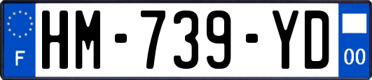 HM-739-YD