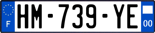 HM-739-YE
