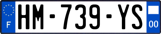 HM-739-YS