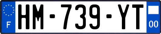HM-739-YT
