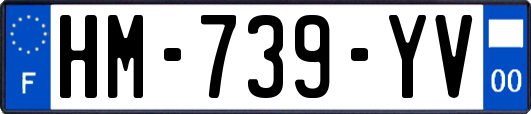 HM-739-YV