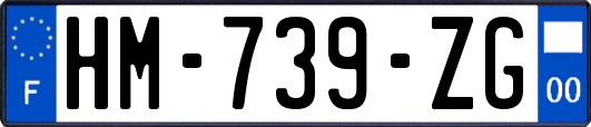 HM-739-ZG