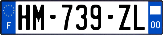 HM-739-ZL