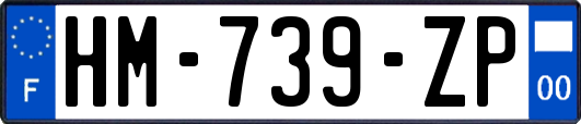 HM-739-ZP