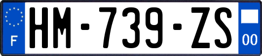 HM-739-ZS