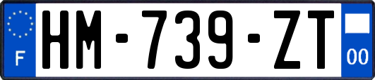 HM-739-ZT