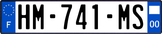 HM-741-MS