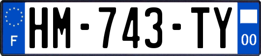 HM-743-TY