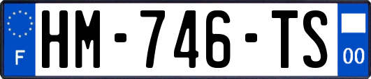 HM-746-TS