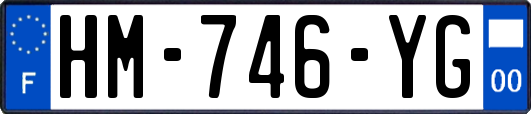 HM-746-YG