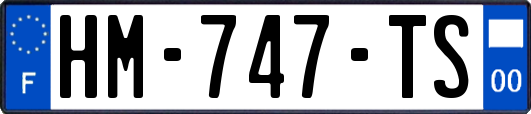 HM-747-TS