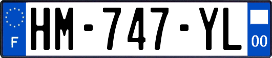 HM-747-YL
