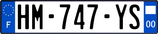 HM-747-YS