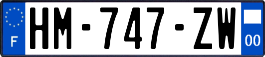 HM-747-ZW