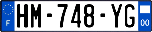 HM-748-YG