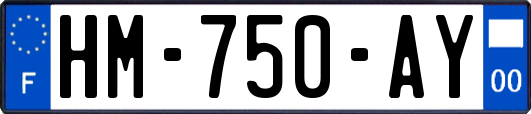 HM-750-AY