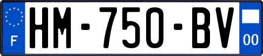 HM-750-BV