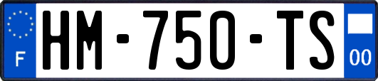 HM-750-TS