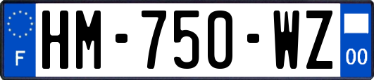 HM-750-WZ