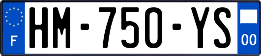 HM-750-YS