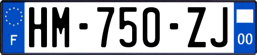 HM-750-ZJ